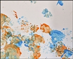 Skunk "Padfoot," painting 5 8x10