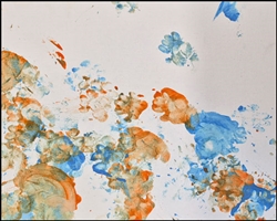 Skunk "Padfoot," painting 5 8x10