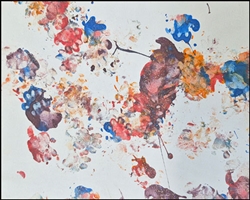 Skunk "Padfoot," painting 6 8x10
