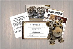 Inventory for Amur leopard gift package